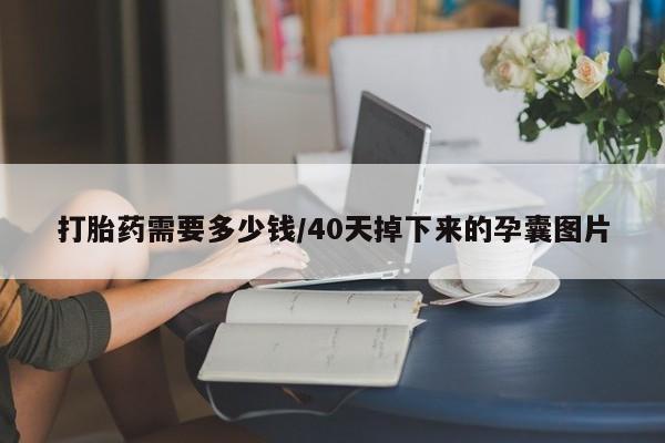打胎药货到付款打胎药需要多少钱/40天掉下来的孕囊图片